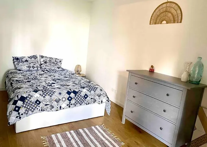 Mon Cocoon Toulousain Cosy Appartement Idealement Situe