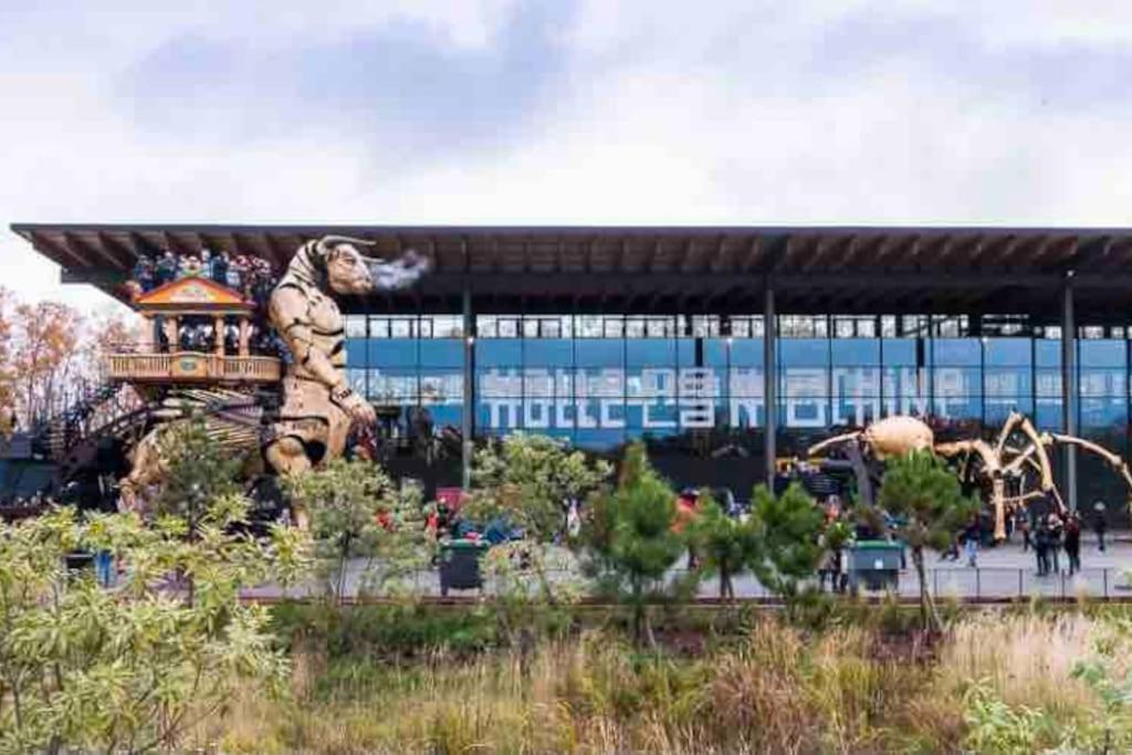 Mon Cocoon Toulousain Cosy Idealement Situe * Toulouse